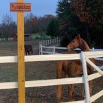 Pasture Board in Winston-Salem North Carolina